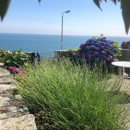 Slieve Donard Cottage Widows Row Cottages 뉴캐슬 외부 사진