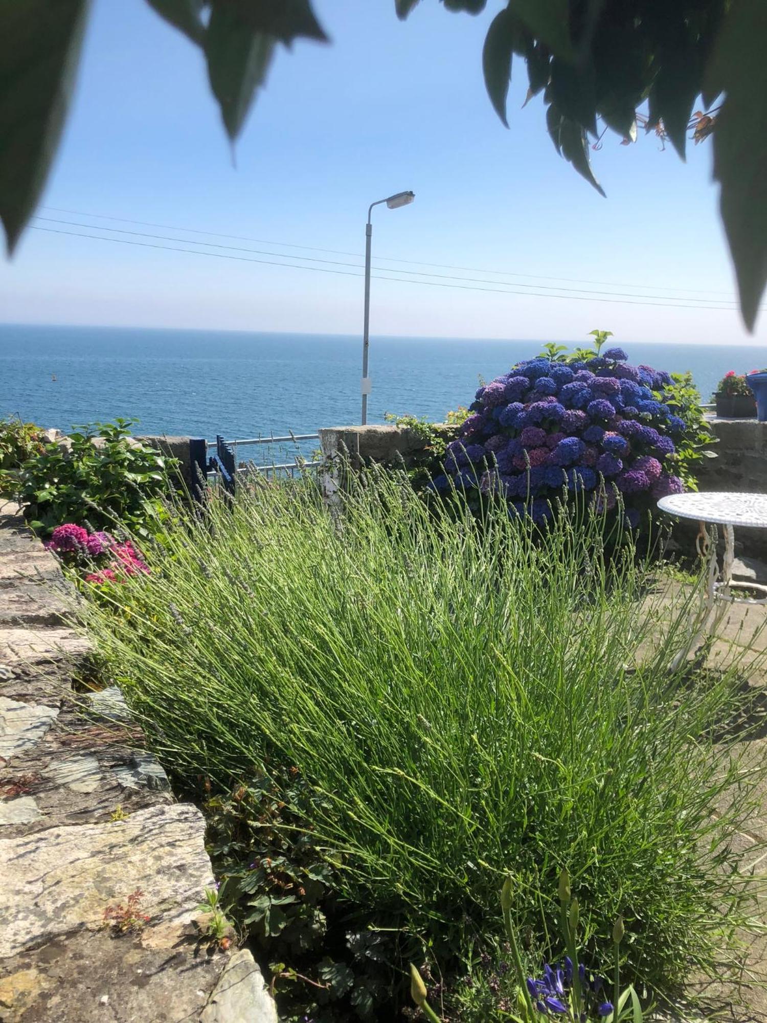 Slieve Donard Cottage Widows Row Cottages 뉴캐슬 외부 사진